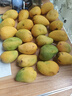 京喜加海南鲜芒果小台水果芒果新鲜上市 带箱5斤 中大果【70-90g】净重4.5斤 实拍图