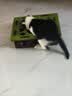 欢宠网猫玩具猫咪掏掏乐逗猫盒掏洞丰容猫抓板猫猫小猫幼猫自嗨解闷神器 实拍图