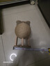 HELLOJOY逗猫咪玩具自嗨解闷猫抓板幼猫爪板小猫抓球耐抓不掉屑耐磨猫爬架 实拍图