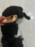 HELLOJOY狗狗拉毛梳泰迪美容蓬松造型猫梳子宠物狗毛猫咪毛梳毛刷针梳用品 实拍图