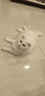 喵铮铮【新品试吃】高鲜肉全价主食猫条鸽肉兔肉营养湿粮补水罐头猫零食 高鲜肉猫条&新疆虹鳟三文鱼 12g*5根 实拍图