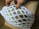 正宗海南哈密瓜脆甜9斤当季新鲜水果甜整箱包邮现摘网纹瓜西州蜜 甄选哈密瓜带箱9-10斤【净重8-9斤】 晒单实拍图