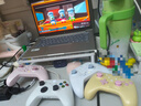 飞智沙漠狐 冰魄蓝 多模版无线游戏手柄 类xbox霍尔扳机switch电脑PC手机steamNS 星露谷物语双影奇境 实拍图