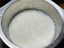 松下（Panasonic）Xtra灵光煲0塑0涂层电饭煲2-3人家用电饭锅IH立体加热不锈钢智能预约2.6升一级能效SR-HAS101-W 实拍图