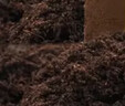 史丹利椰糠砖650g*3 椰土砖椰砖营养土脱盐花土耶砖种菜通用型 实拍图