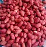 享食兔红皮生花生米1kg四粒红衣生花生仁2025新货花生补气血五谷粗杂粮 实拍图