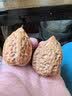 奥美优喷壶气压式高压喷水壶消毒打药浇花家用洗车清洁洒水壶喷雾器超细 实拍图
