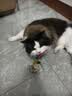 HELLOJOY猫咪不倒翁玩具羽毛逗猫棒球猫消耗体力自嗨解闷神器猫咪用品 实拍图