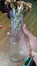 玻璃花瓶透明植物插花瓶水培容器大花瓶装饰客厅摆件 【热销】透明水波纹（17*5.5*8） 1个装 实拍图