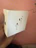 Apple/苹果 AirPods 4(支持主动降噪)搭配无线充电盒(USB-C)苹果耳机 蓝牙耳机适用iPhone/iPad 四代 实拍图