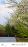 适马（SIGMA）16-300mm f3.5-6.7 DC OS ｜Contemporary 半画幅 远摄变焦镜头 旅游风光人像（富士X卡口） 实拍图