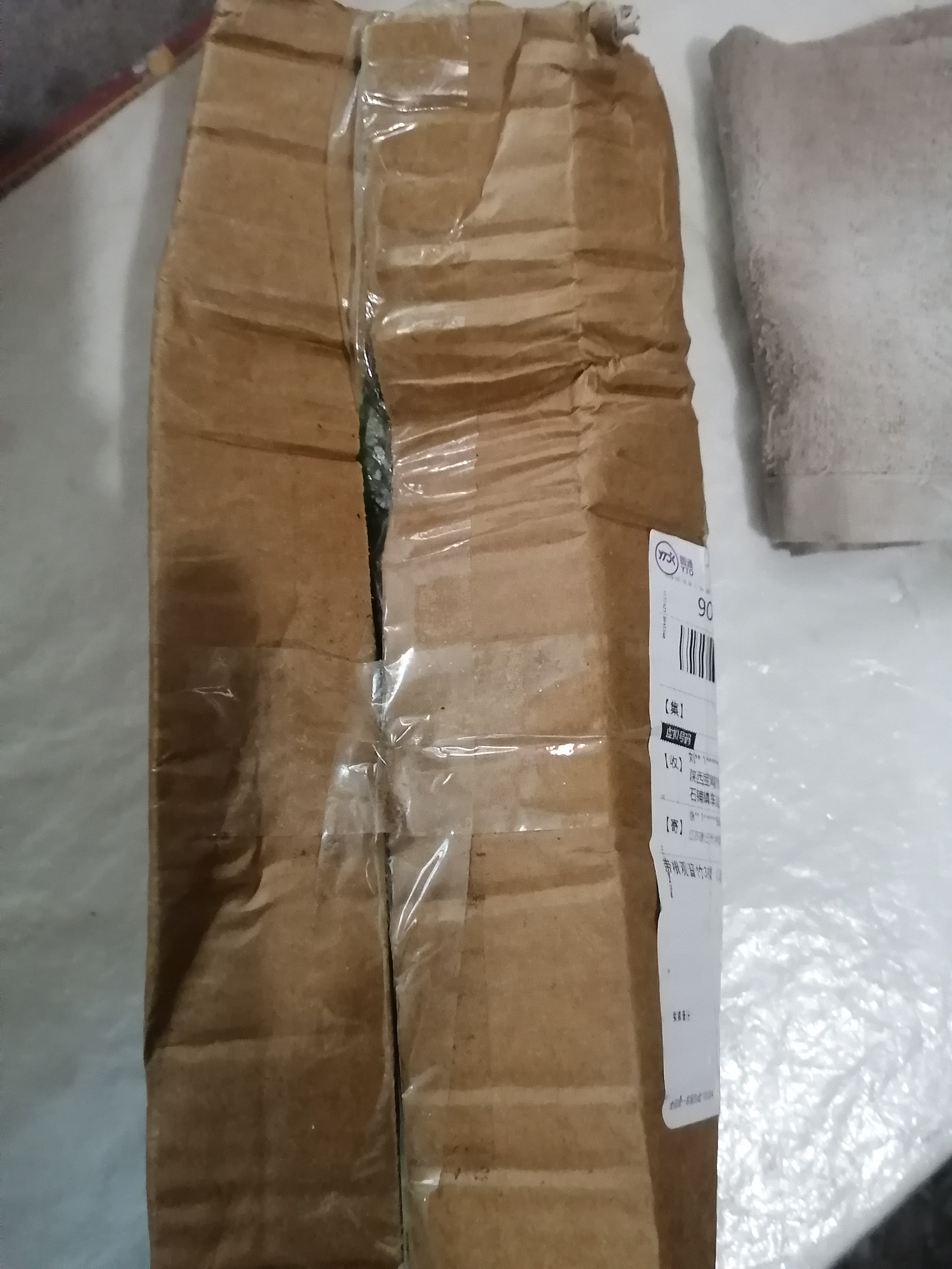 绿有意观音竹富贵竹水培植物带根花卉绿植绿萝室内盆栽转运竹子水养好养 带根观音竹3棵（简易杯）+营养液 实拍图