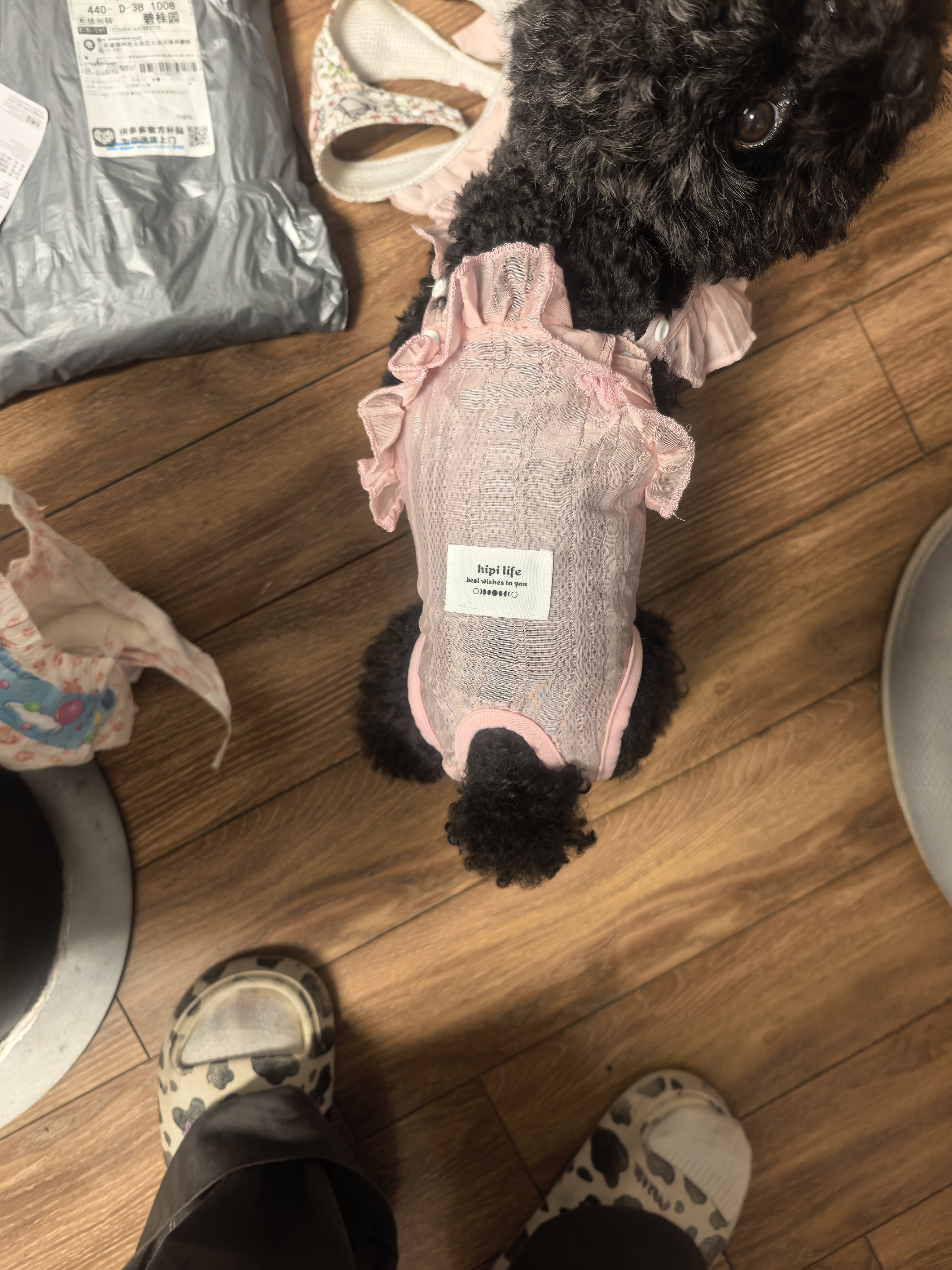 嬉皮狗（hipidog）夏季超透气母狗狗生理裤专用防骚扰姨妈巾月经期安全防脱裤卫生巾 奥丽粉 M （建议体重5-10斤内） 实拍图