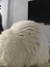 AMO PETRIC黑莓叶泪痕湿巾宠物猫狗去泪痕免洗纸巾阿默眼屎清洁80片/盒 实拍图