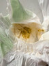 babycare金山茶花婴儿拉拉裤mini装L码20片(9-14kg)尿不湿超薄透气 实拍图
