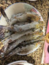 粤海湾南海巨型黑虎虾超大特大号 老虎虾大虾生鲜海鲜礼盒年货送礼虾类 超大8头 700g(净重)  长20-22cm 顺丰/深圳|北京|武汉发货 实拍图