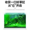 疯狂水草鱼缸二氧化碳水草缸造景水草植物二氧化碳发生器CO2水草用品200片 实拍图