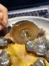 往牧大连鲜食海参 辽刺参 鲜食海参 冷冻生鲜 节假日送礼 【大连鲜食辽参500g】13-16只 实拍图