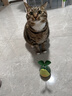 HELLOJOY猫玩具自嗨解闷逗猫棒不倒翁漏食球猫薄荷宠物猫玩的猫咪用品大全 实拍图