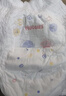 好奇（Huggies）金装拉拉裤XXXXL24(19kg以上)尿不湿【速干不易红】 实拍图