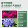 史丹利 磷酸二氢钾花肥料通用型养花促开花叶面肥磷钾肥有机肥料100g 实拍图