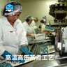 海鲜世家新西兰熟冻原汁全壳青口贝净含量1kg 21-26只/袋原装进口海鲜贝类 实拍图