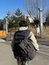 墨一双肩包男款大容量轻便通勤电脑背包男士旅行包高中大学生书包休闲 实拍图