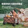探险者（TAN XIAN ZHE）露营车儿童可躺户外推车野餐车露营装备折叠露营推车营地车买菜车 160L 曜石黑【实心万向轮】 实拍图