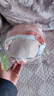 名创优品（MINISO）小猪B-BO草莓趴姿毛绒公仔玩具玩偶娃娃抱枕靠枕生日520礼物女 实拍图