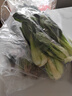 长黄瓜约600g 实拍图