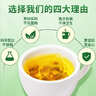 南京同仁堂玉米须茶包大麦茶黄苦荞麦茶孕妇泡水喝的养生茶饮240g 实拍图