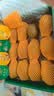 佳沛（zespri）新西兰 阳光金奇异果12粒特大果单果124-146g 猕猴桃水果礼盒 实拍图
