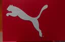 彪马PUMA 轻便透气休闲跑步鞋男通勤夏季网面低帮运动鞋310168 42.5 实拍图