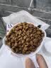 希尔思Hill‘s进口猫粮肠胃呵护粮 希尔斯成猫通用猫主粮 理想肠胃6磅 肠胃猫粮2袋（囤货更优惠） 实拍图