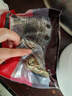 五芳斋 速冻蛋黄猪肉粽 100g*5只 嘉兴粽子蛋黄肉粽端午粽子早餐食品 实拍图