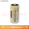 德力普（Delipow）CR123A锂电池3V照相机电池摄像仪/燃气表电子/仪器仪表/电子锁/感应洁具/胶片相机/报警器等 实拍图