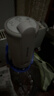 志高（CHIGO）抽水器桶装水 电动抽水泵饮水机纯净水取水器自动上水器MX-H17 实拍图