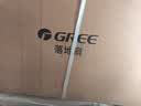 格力（GREE）【花精灵Se】一级能效直流变频轻音节能遥控电风扇卧室落地扇静音家用风扇 实拍图