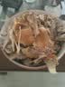 德州扒鸡山东特产刚出锅鲜扒鸡配料表干净1956五香味600g源头直发 实拍图