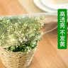 铭聚布艺（MINGJU）桌布 软玻璃无味加厚PVC餐桌垫防水防油水晶板定制茶几垫60*120cm 实拍图