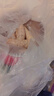 大成德式香肠1kg烤肠烧烤食材空气炸锅肉肠儿童早餐半成品速食火腿肠 实拍图