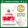 河套家用粉10斤 中华老字号 面粉饺子包子馒头饼手擀面河套面粉 实拍图