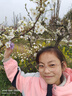佑游儿童泳衣女中大童女孩游泳衣训练连体速干游泳装32625紫色短袖3XL 实拍图