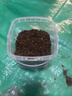 史丹利3L包装营养土园艺有机土通用型种花种菜养花专用泥炭土壤种植土 实拍图