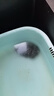妙洁 净缝钢丝球 12只装 紧密钢丝圈易贴表面 厨房灶台洗碗去污耐用 实拍图