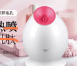 金稻蒸脸仪美容仪器面部喷雾补水仪蒸汽机加湿器热喷蒸脸器Q版便携面膜搭档KD233便携520礼物价保618 实拍图