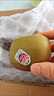 佳沛（zespri）新西兰阳光金果10个装单果重约103-114g 水果礼盒 猕猴桃 实拍图