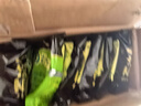 统一 汤达人 日式豚骨拉面 袋装 泡面 方便面 125g*18袋/箱 整箱批发 实拍图