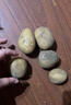 山东土豆新鲜现挖2025新土豆农家马铃薯黄皮黄心大包装健康即食 黄心土豆小果 1斤(带箱) 实拍图