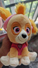 汪汪队立大功（PAW PATROL）毛绒玩具狗狗玩偶经典款天天小号坐姿公仔男女孩六一儿童节礼物 实拍图